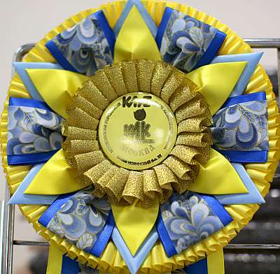 �������� ����� '���-�����-������' 11-12 ������ 2015 169A4897 copy.jpg